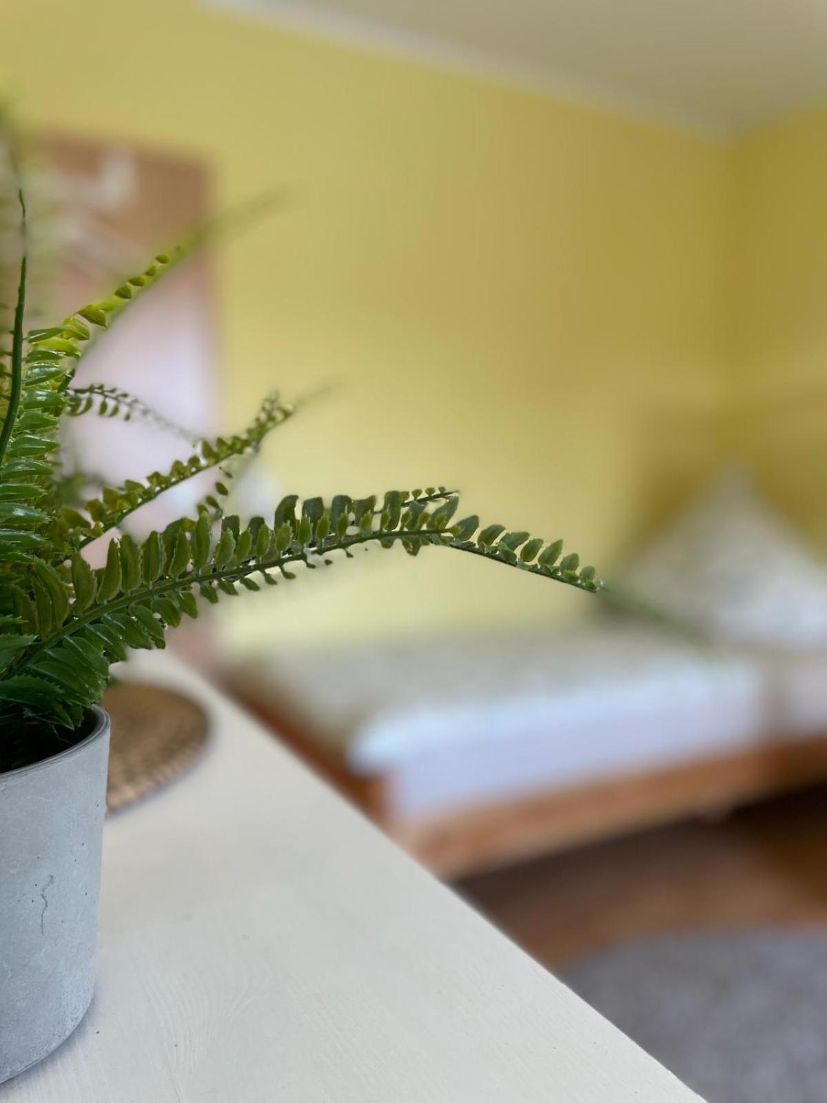 Modernes Apartment Im Gruenen, Mit Park- Und Meer-Naehe Bad Zwischenahn Extérieur photo