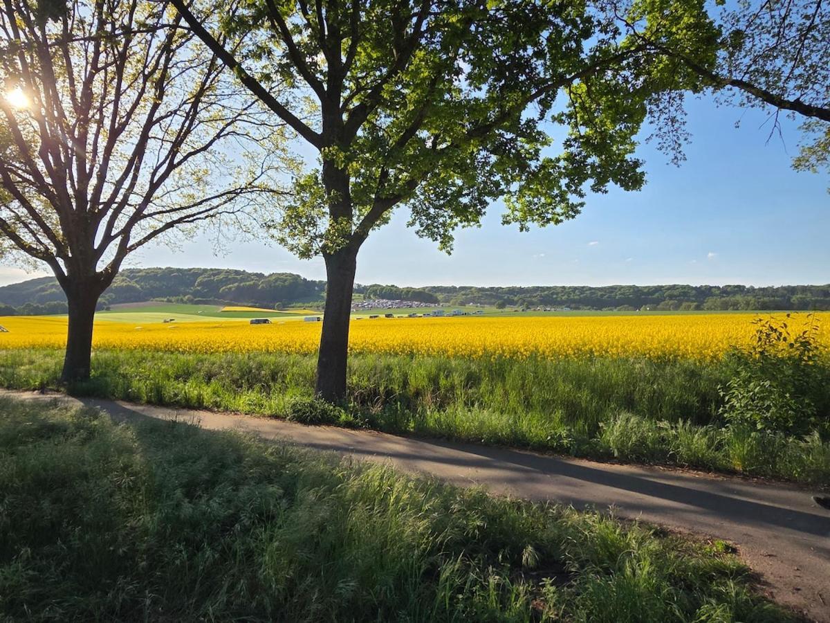 Modernes Apartment Im Gruenen, Mit Park- Und Meer-Naehe Bad Zwischenahn Extérieur photo